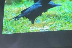 316282514_4017430145149541_6158627832006516111_n