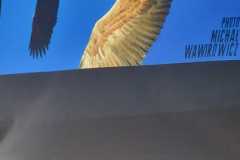 316551540_4017430071816215_4277144744877346212_n