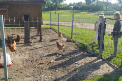 384524992_784340473495752_4943976824221561617_n