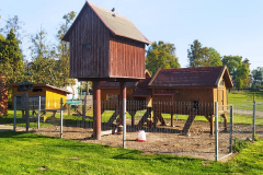 385684444_784340440162422_5303836501053268874_n