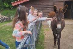 714610806_1471451174784675_166751361337514420_n