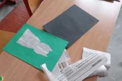 dzie_kota_20220228_1089173125