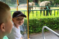 f4617a84-f012-4bf9-96d1-9aa29f4c0fe2