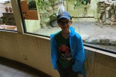 fe9dbafa-26f1-4308-83e0-7d704d724569