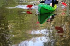 494161128_1154664466463349_8086069534109814745_n