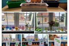 652933410_1410587727537687_6265227488741351816_n