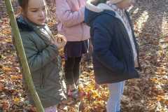 313214144_3994475120778377_7374585345607476559_n