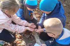 313417897_3994474604111762_6625121312504964932_n