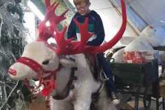 318302974_4022977201261502_7368271557207028336_n