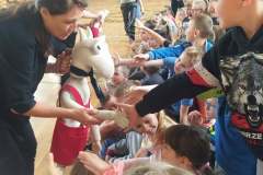 447693268_925916712671460_8152246244215129868_n