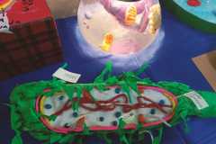 416963375_836726274923838_9220064702468284609_n