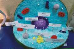 416966171_836726324923833_3367948553995688887_n