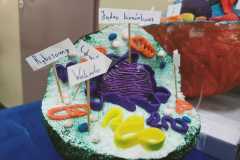 417238753_836726218257177_7697099455701540878_n