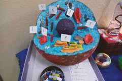 417465898_836726168257182_7566174677382415586_n