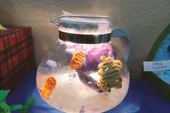 417544967_836726198257179_9120379471978228904_n