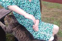 346865495_4190223931203494_1941233190119906018_n