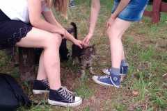 348575341_4190223954536825_111307722780705841_n