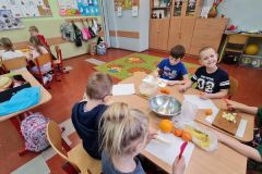 saatki_owocowe_20220217_1940538661