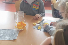 warsztaty_o_wodzie_20220302_1219946928