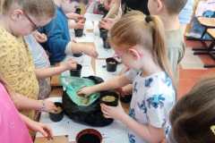 95bc6a39-10ed-48ca-8252-8d428ad59534