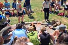 346654867_4184178658474688_1189486182816785104_n