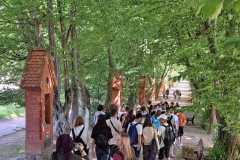 348640622_4184177401808147_4030111489455579937_n