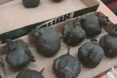 426298582_856724596257339_8938137668372893810_n
