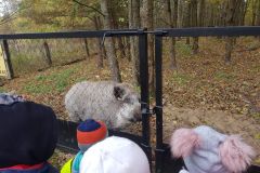 312359711_1352284615585027_1097933981223385833_n