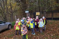 312364956_498307805341910_5747048815370757105_n