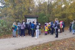 312442680_1526349901142573_5346590686344513186_n