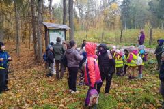 312505710_1156524571927193_7693042912270224503_n