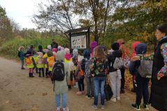 312603807_3338984779681993_6280003363554053752_n