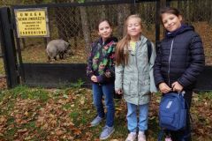 312659747_664315078397449_9086675961300934264_n