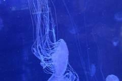 500984600_1175730421023420_5383398001022697014_n