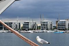 501060710_1175730547690074_4050532626159840214_n