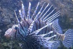 501284819_1175730341023428_4765334045976302615_n