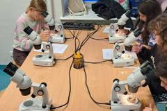 501379106_1175729871023475_1053182551110914756_n