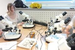 501465348_1175729491023513_2793551015474190221_n