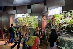 502412395_1175730287690100_1376787957226517443_n