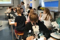 502532658_1175729541023508_1199923153525278590_n