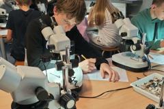 502584720_1175729601023502_1352413602672092750_n