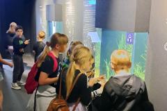 502620358_1175730227690106_5772673065729316204_n